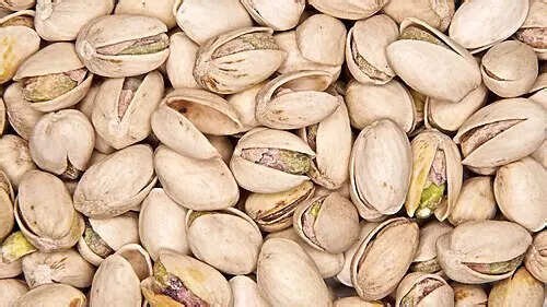 Grow a pistachio plant at home: The right way to build your own mini garden