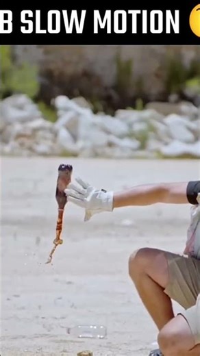 Sliw motin video amazin😲