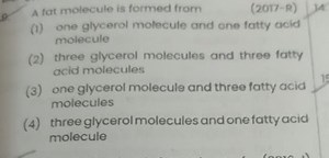 A fat molecule is formed from(2017-R)(1) one glycerol molecul... | Filo