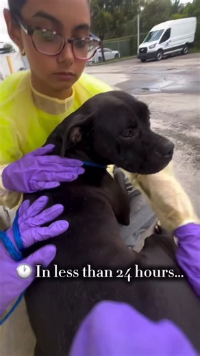 109 reactions · 14 shares | Rain finally got to feel what it’s like...