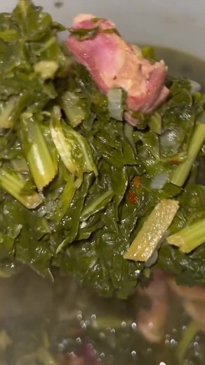 All I see is collard green recipes and not enough turnips/ mustards recipes🙃 y’all team collards or turnips/mustards?😭 #allyahq #collardgreens #turnipswithmeat #mustardgreens #easyrecipe #cooking #foodtikok #blackgirltiktok #foodie #thanksgiving