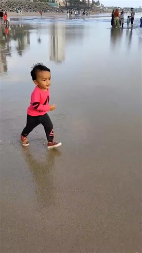 Toddler Fun at the Beach: Playful Moments in Shallow Water