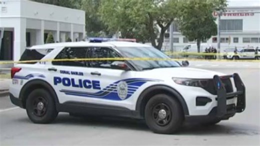 Actress Devon Aoki's husband arrested in Coral Gables hit-and-run that hurt scooter rider: Police