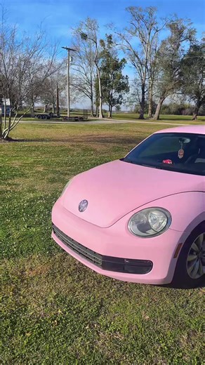 Meet Nicki: The New Barbie Beetle