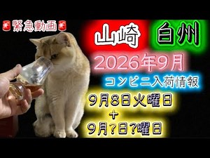 ［ウイスキー］2026年9月 山崎•白州コンビニミニボトル入荷情報