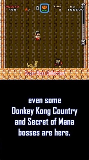 Super Mario World Boss Run Hack