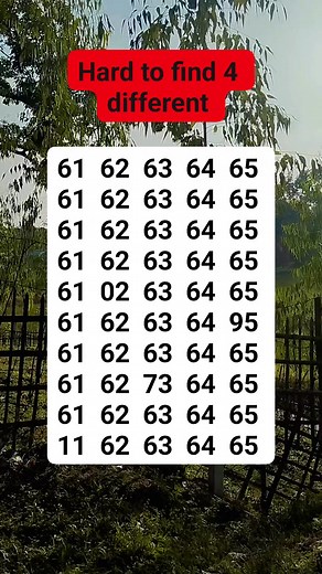 #brainteaser #search #find | Santiago Clements