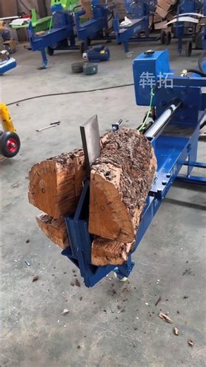 Hydraulic Firewood Splitter | Splits Hard & Dry Jujube Wood Into 4 Pieces in One Go🪵💥 #shorts