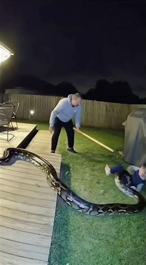 CCTV Footage: Python Attacks Child Near Patio — Owner Strikes and Saves!**#CCTVFootage #PythonAttack