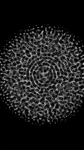 Multiplicity with Merlin Sheldrake — keep an eye out for future microdosing events and more!🍄🌾🍃 #thealchemistskitchen #merlinsheldrake #microdosing #mycelium #meditation | The Alchemist's Kitchen