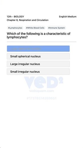 Lymphocytes Characteristics 12th Biology Respiration and Circulation