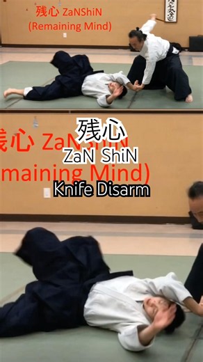 WOW!合氣 | 残心 Knife Disarm : 短刀取り四方投げ | TantoDori ShihoNage #合気道 #aikido #武 #martialarts #selfdefense