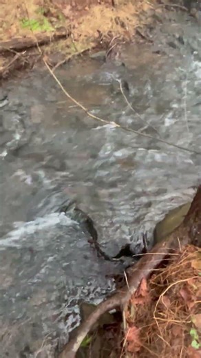 I am going to lay down my burden down by the riverside🙏🏿