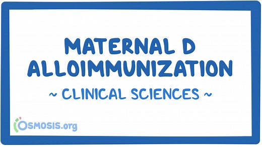 Maternal D alloimmunization (management): Video & Meaning | Osmosis