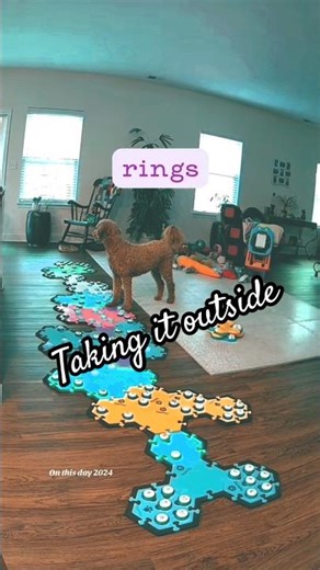 Ring Toss Pup 🤗 adorable outdoors flashback