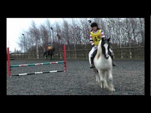 Horse Performance with Clicker Training!