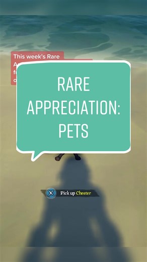 Cutest Pets in Sea of Thieves - Rare Appreciation Video