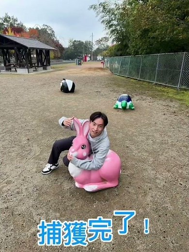 綾部に行くならここ！観光スポット4選！#綾部市#あやべしか勝たん