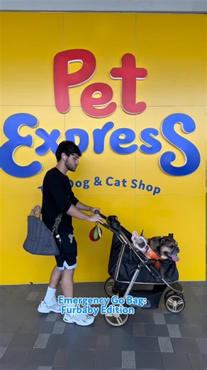 2.2K views | Emergency go bag but make it furbaby edition!  When it comes to safety, our pets deserve to be just as ready as we are! From food and meds to toys and treats, we have to make sure that their essentials are packed and prepared. What’s inside your furbaby’s go bag? Share them in the comments below  | PetExpress | Facebook