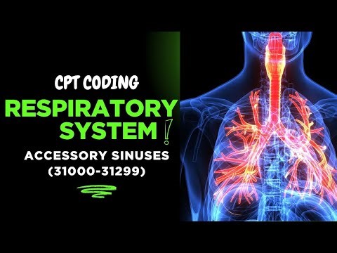 3. Respiratory System (30000-32999) I Accessory Sinuses (31000-31299) I