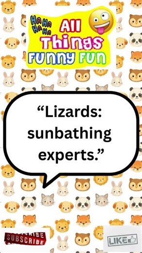 🤣 Funniest Every Day Animal Quotes that you might laugh at or say awww 🤣