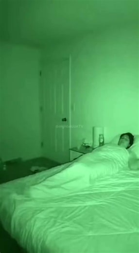 #nightvision #lustigehunde #hundevideos #funnydogs #cctv