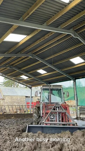 #agriculture #farming #agri #tractor #cattle #international #happycows