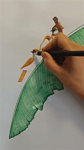 Daily Sharing: Drawing is Actually Very Simple