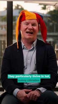 3 Reasons to Buy First Solar (FSLR) for the Next 5+ Years