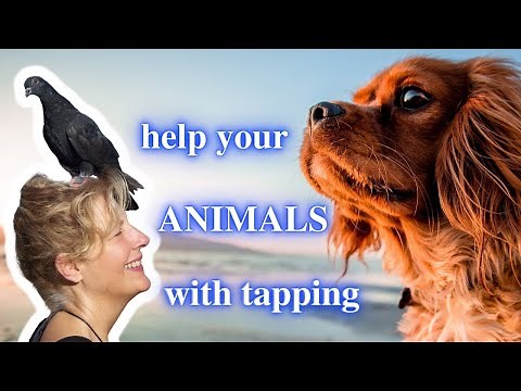 EFT Tapping for Animals & Pets with Sharon Smith
