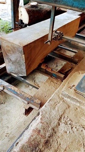 16 Inche Tokta Catting 🪵#viralshort#wood ‪@Hazi_Saw_Mill‬
