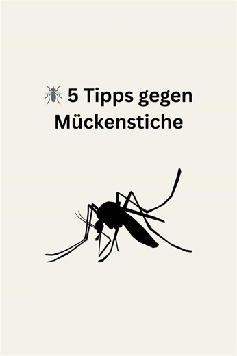 🦟 5 Tipps gegen Mückenstiche