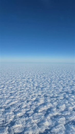 Nikkie Creque on Instagram: "Literally in the Sky💚 Beyond Grateful Beyond Blessed Beyond Focused Thank you God."