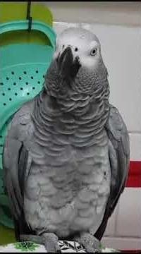 Приглашаем к завтраку