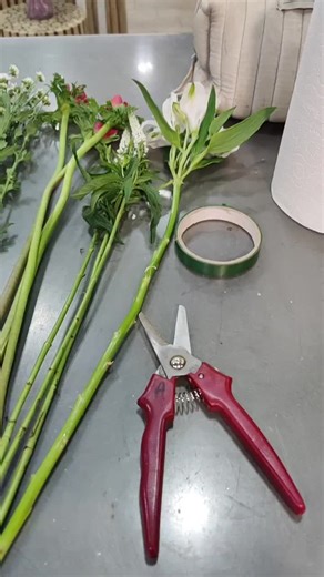 Vidéos de Anaïs (@anaisdecanter) avec goosebumps - Travis Scott