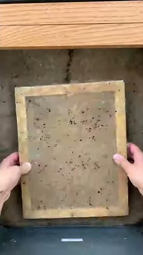 Making Handmade Coffee Paper