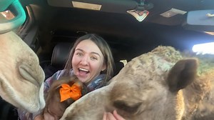 To license this content please click here: https://www.jukinmedia.com/licensing/view/1385627?utm_source=RMsocialpost&utm_medium=RMsocialpost | Jukin Copyright Management