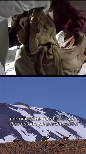 El Parque Nacional Llullaillaco es un tesoro del norte de Chile que guarda una historia fascinante 🌄. 📍 Desde San Pedro de Atacama, puedes llegar por la ruta 23 🚗 en un tramo de 38 km, y luego seguir por la ruta B-355 que bordea el Salar de Atacama hasta la quebrada del Tucúquere, en el cordón de Lila. 🎬: IG @benjavalenzuelawallis / @conaf_minagri / @lagos_Castañeda/ @bilimtuel / @bilimpediaa Tiktok: @js7champion / 📸 : Emol.com / Flickr José Fontanelli / La Republica / Wikimedia #ParqueNaci