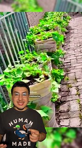 Daniel Reacts on Reels