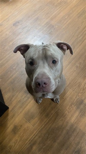 Mary Elaine on Reels