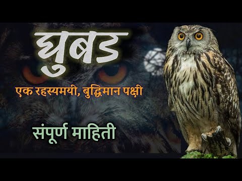 घुबड पक्षी माहिती | ghubad bird information in marathi