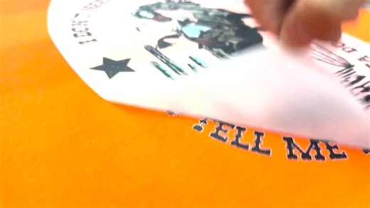 Diane Ladd Shirt,in Loving Memory Retro Hollywood Tribute Shirt ,vintage Memorial Tee, Classic Film Star Aesthetic - Etsy