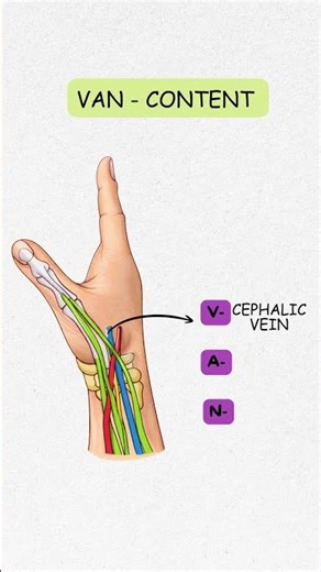 “Anatomical snuff box made EASY 👍 One mnemonic = instant exam recall 🧠🔥”