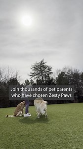 Are your pup’s tummy troubles causing them (AND YOU) distress? Get them back to happy zoomies with our six-strain probiotic gut health blend.  Supports digestion and the immune system  Tasty, pup-approved pumpkin flavor  Suitable for dogs of all sizes and breeds | Zesty Paws | Facebook