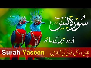 Surah Yaseen With Urdu Translation By Qari Shaikh Ismail Annori I Urdu And Hindi Tarjuma Episode 13
