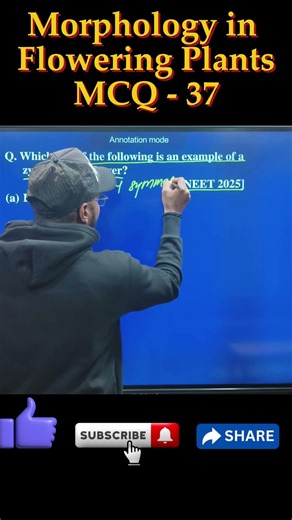 Morphology in Flowering Plants (MCQ Question)