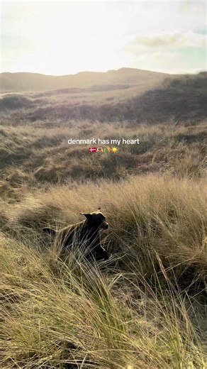 Discover the Beauty of Denmark's Nature and Culture