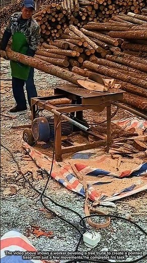 Sharpen the base of the tree trunk to make stakes