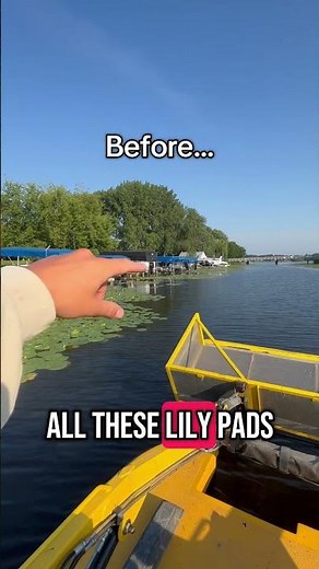 Lily pad removal🫡.