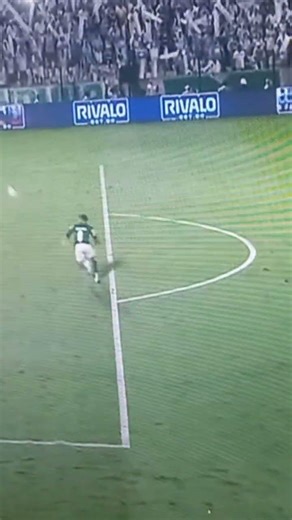 GOL DO PALMEIRAS!!! PALMEIRAS 2-1 NOVORIZONTINO